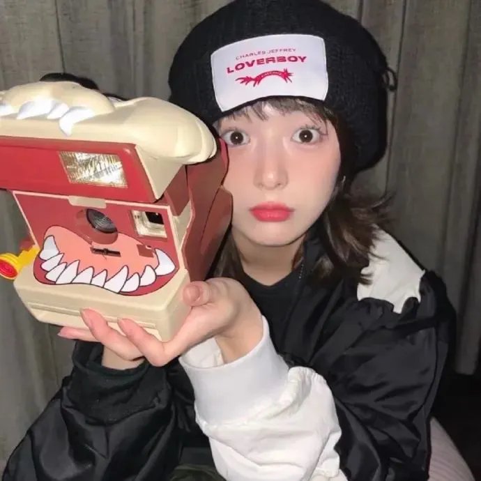 宠物情人